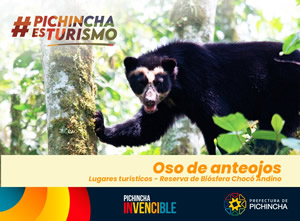 Lugares Turísticos de Pichincha